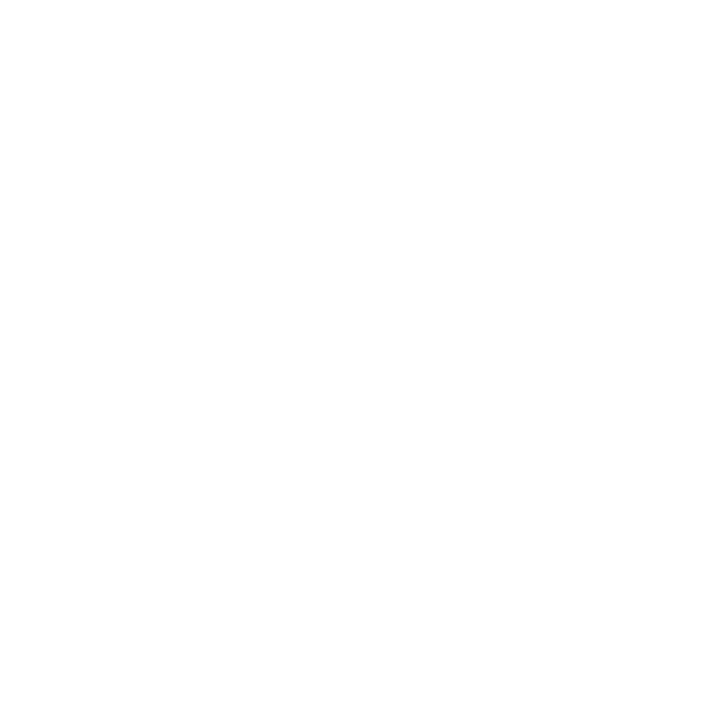 Vincent Holding